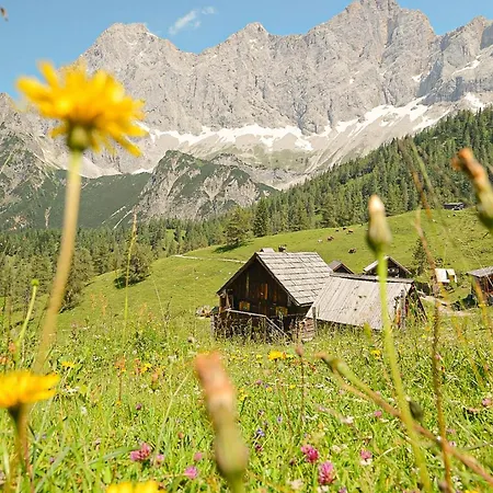 Appartement Sublehnhaeusel Ramsau am Dachstein
